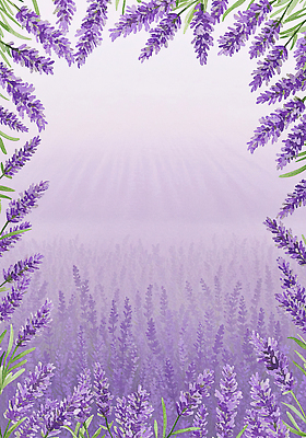 JPG 잎 꽃밭 꽃백그라운드 일러스트 여름꽃 수채화 사람없음 보라색 라벤더 꽃프레임 카피스페이스 국내일러스트 AI일러스트 AI콘텐츠 식물 꽃 컬러 백그라운드 프레임 공백 허브 파일형식 여름_계절