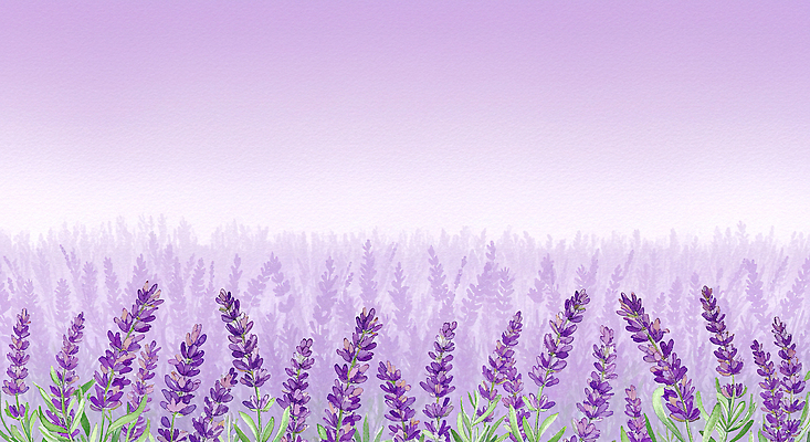 JPG 잎 꽃밭 꽃백그라운드 일러스트 여름꽃 수채화 사람없음 보라색 라벤더 카피스페이스 국내일러스트 AI일러스트 AI콘텐츠 식물 꽃 컬러 백그라운드 공백 허브 파일형식 여름_계절