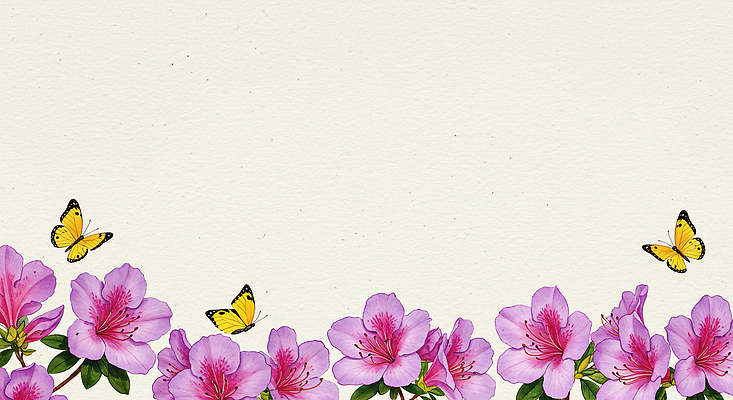 JPG 꽃 분홍색 나비 백그라운드 꽃백그라운드 일러스트 봄꽃 자연 수채화 프레임 사람없음 봄 진달래 한지 철쭉 카피스페이스 봄배경 국내일러스트 AI일러스트 AI콘텐츠 식물 계절 종이 컬러 곤충 공백 생태계 파일형식