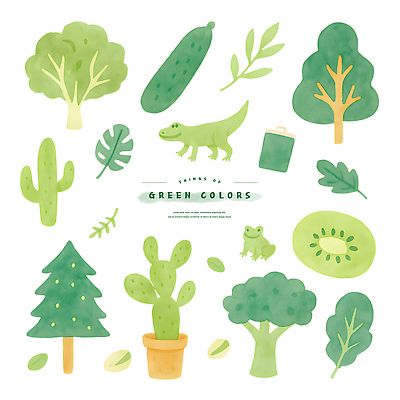PSD 나무 화분 일러스트 단면 나뭇잎 오이 수채화 선인장 통 키위 개구리 사람없음 초록색 브로콜리 오브젝트 공룡 슬라이스 엘리먼트 국내일러스트 식물 컬러 잎 채소 과일 파충류 양서류 파일형식