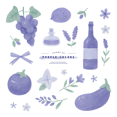 PSD 리본 일러스트 가지 수채화 사람없음 보라색 와인병 오브젝트 라벤더 엘리먼트 포도잎 국내일러스트 꽃 컬러 잎 채소 포도 병_용기 와인 허브 파일형식