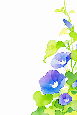 JPG 백그라운드 잎 일러스트 여름꽃 수채화 사람없음 보라색 꽃봉오리 나팔꽃 카피스페이스 국내일러스트 AI일러스트 AI콘텐츠 식물 꽃 컬러 공백 파일형식 여름_계절