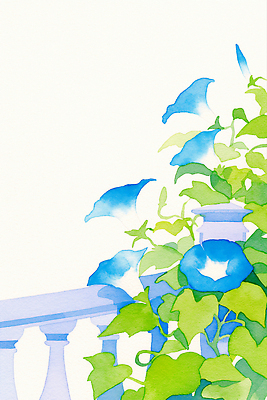 JPG 백그라운드 잎 일러스트 여름꽃 수채화 사람없음 파란색 울타리 꽃봉오리 나팔꽃 카피스페이스 국내일러스트 AI일러스트 AI콘텐츠 식물 꽃 컬러 담장 공백 파일형식 여름_계절