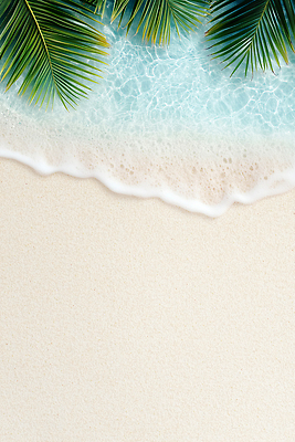 JPG 편집이미지 물결 해변 사람없음 모래사장 여름풍경 거품 야자수잎 카피스페이스 편집실사 AI포토 AI콘텐츠 바다 잎 풍경 공백 CG 파일형식 여름_계절