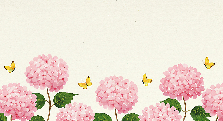 JPG 분홍색 나비 잎 일러스트 여름꽃 수채화 사람없음 수국 베이지색 카피스페이스 국내일러스트 AI일러스트 AI콘텐츠 식물 꽃 컬러 곤충 공백 파일형식 여름_계절