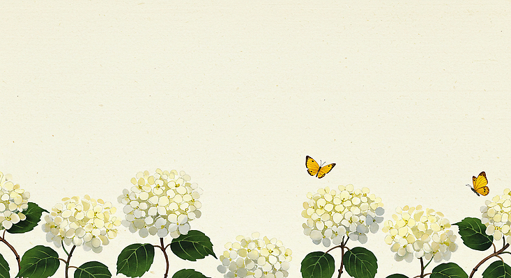 JPG 나비 잎 일러스트 여름꽃 수채화 사람없음 흰색 수국 베이지색 카피스페이스 국내일러스트 AI일러스트 AI콘텐츠 식물 꽃 컬러 곤충 공백 파일형식 여름_계절