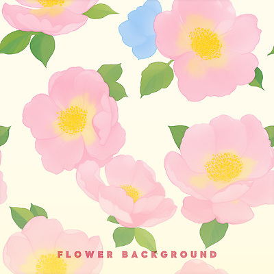 PSD 분홍색 잎 꽃백그라운드 일러스트 수채화 사람없음 연노랑색 국내일러스트 식물 꽃 컬러 백그라운드 노란색 파일형식