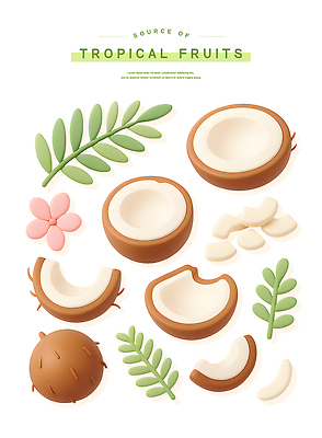 PSD 편집이미지 꽃 스티커 잎 사람없음 갈색 흰색 열대과일 코코넛 과일조각 엘리먼트 이미지편집 식물 컬러 조각 과일 파일형식