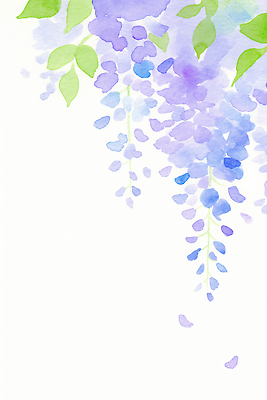 JPG 잎 일러스트 자연 수채화 사람없음 보라색 여름풍경 등나무꽃 카피스페이스 국내일러스트 AI일러스트 AI콘텐츠 식물 꽃 컬러 풍경 공백 생태계 파일형식 여름_계절