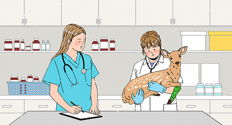 여자 야생동물 일러스트 청진기 안기 사슴 들기 상반신 성인 두명 펜 바구니 고통 기록 잡기 의사가운 구출 약병 서랍장 수술복 붕대 수술장갑 동물병원 수의사 서류판 수납함 수술대 성인여자만 국내일러스트 AI파일 동물 감정 가구 장갑 포유류 의료기기 모션 병원 사람 필기구 약 사무용품 의사 가운 도움 병_담는 여자만 성인만 파일형식 벡터