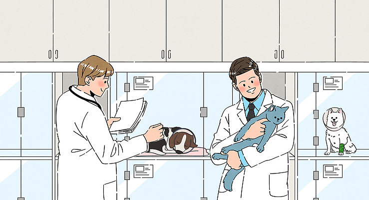 남자 일러스트 청진기 안기 방석 미소 들기 앉기 상반신 성인 두명 고양이 잠 의사가운 강아지 확인 문서 동물병원 수의사 수납함 입원 케이지 성인남자만 넥카라 국내일러스트 AI파일 포유류 의료기기 모션 표정 병원 사람 반려동물 의사 가운 개 남자만 성인만 파일형식 벡터 반려용품