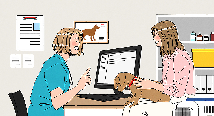 여자 액자 의자 일러스트 대화 미소 앉기 상반신 성인 두명 모니터 가리킴 잡기 강아지 약병 닥스훈트 책상 상담 서랍장 파일 수술복 개목걸이 주인 동물병원 수의사 수납함 진료실 성인여자만 국내일러스트 켄넬 AI파일 가구 모션 표정 병원 말하기 사람 손짓 반려동물 컴퓨터 약 진료 의사 가운 개 애견용품 병_담는 여자만 성인만 파일형식 벡터 반려용품