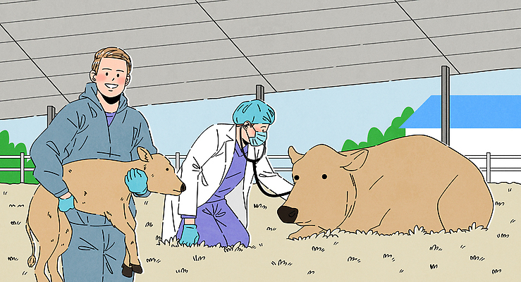 전신 남자 엎드리기 일러스트 청진기 미소 들기 성인 두명 가축 진료 듣기 고통 의사가운 건초더미 무릎꿇기 동물병원 수의사 송아지 외양간 소우리 수술모 위생복 성인남자만 국내일러스트 AI파일 동물 감정 새끼 의학 의료기기 모션 표정 병원 사람 의사 가운 소 건초 남자만 성인만 파일형식 벡터 더미