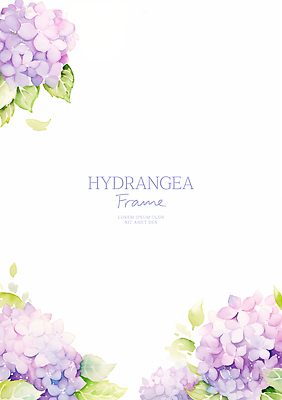PSD 잎 꽃백그라운드 일러스트 수채화 프레임 사람없음 보라색 수국 꽃프레임 카피스페이스 국내일러스트 식물 꽃 컬러 백그라운드 공백 파일형식