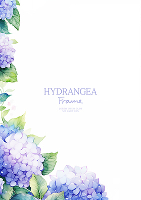 PSD 잎 꽃백그라운드 일러스트 수채화 사람없음 보라색 수국 꽃프레임 카피스페이스 국내일러스트 식물 꽃 컬러 백그라운드 프레임 공백 파일형식