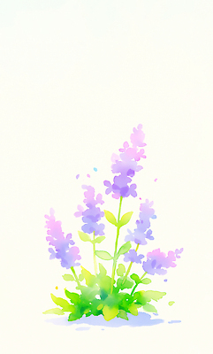 JPG 잎 일러스트 사람없음 보라색 라벤더 국내일러스트 AI일러스트 AI콘텐츠 식물 꽃 컬러 허브 파일형식