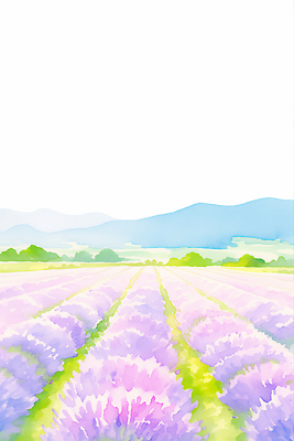 JPG 나무 잎 꽃밭 일러스트 산 사람없음 보라색 여름풍경 라벤더 국내일러스트 AI일러스트 AI콘텐츠 식물 꽃 컬러 풍경 허브 파일형식 여름_계절