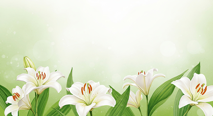 JPG 꽃백그라운드 일러스트 수채화 사람없음 초록색 백합 카피스페이스 국내일러스트 AI일러스트 AI콘텐츠 꽃 컬러 백그라운드 공백 파일형식