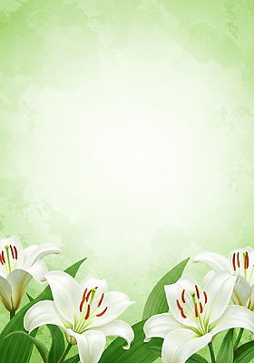 JPG 꽃백그라운드 일러스트 수채화 사람없음 초록색 백합 카피스페이스 국내일러스트 AI일러스트 AI콘텐츠 꽃 컬러 백그라운드 공백 파일형식