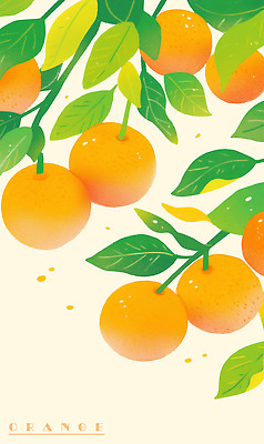 PSD 잎 오렌지 일러스트 사람없음 주황색 오렌지나무 국내일러스트 나무 식물 컬러 과일 파일형식