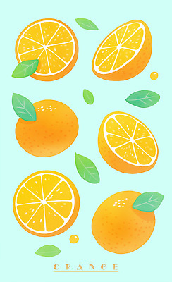 PSD 하늘색 잎 오렌지 일러스트 단면 사람없음 주황색 슬라이스 국내일러스트 식물 컬러 과일 파란색 파일형식