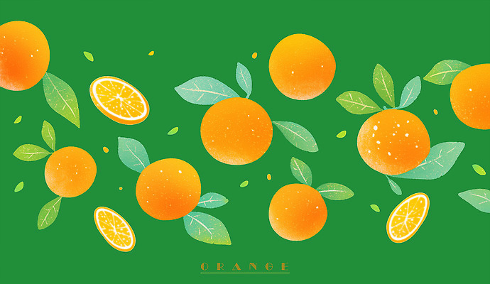 PSD 잎 오렌지 일러스트 단면 사람없음 초록색 슬라이스 국내일러스트 식물 컬러 과일 파일형식
