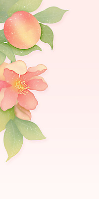 PSD 분홍색 잎 일러스트 사람없음 복숭아 복사꽃 카피스페이스 국내일러스트 식물 꽃 컬러 과일 공백 파일형식