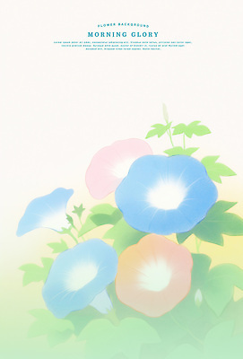 PSD 잎 일러스트 여름꽃 색연필 사람없음 부드러움 나팔꽃 파스텔톤 국내일러스트 식물 꽃 컬러 학용품 감각 파일형식 여름_계절