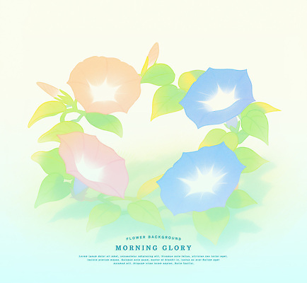 PSD 잎 일러스트 여름꽃 색연필 사람없음 꽃봉오리 부드러움 나팔꽃 파스텔톤 국내일러스트 식물 꽃 컬러 학용품 감각 파일형식 여름_계절