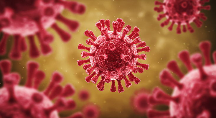 JPG 편집이미지 사람없음 빨간색 유행 질병 감염 방역 의료성형뷰티 검역 편집실사 니파바이러스 AI컴퓨터그래픽 AI콘텐츠 컬러 의학 바이러스 위생 CG 파일형식