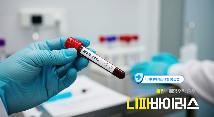 PSD 편집이미지 손 장갑 들기 근접촬영 신체부위 유행 질병 책상 체크표시 예방 문서 감염 방패 녹십자 방역 의료성형뷰티 검역 이미지편집 니파바이러스 잡화 뷰포인트 가구 의학 모션 사람 바이러스 위생 확인 십자 파일형식