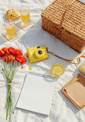 JPG 편집이미지 꽃다발 잔 그림자 사람없음 햇빛 소풍 카메라 레모네이드 돗자리 양귀비 감성 도시락통 소풍바구니 스프링수첩 편집실사 AI포토 AI콘텐츠 식기 꽃 컨셉 전자제품 태양 야외활동 바구니 다이어리 용기_그릇 CG 에이드 파일형식