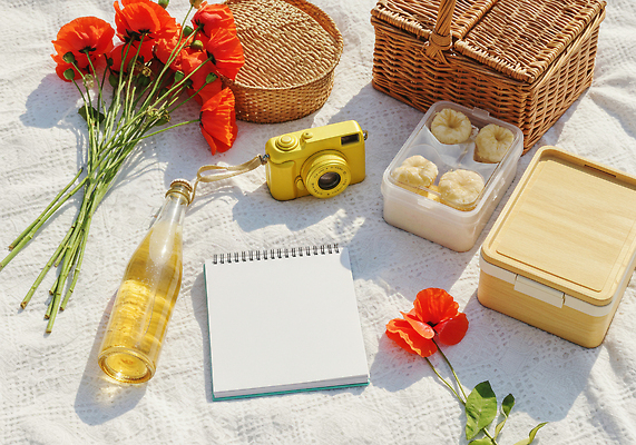 JPG 편집이미지 그림자 사람없음 햇빛 소풍 카메라 돗자리 도시락 양귀비 감성 도시락통 소풍바구니 스프링수첩 음료수병 라탄바구니 편집실사 AI포토 AI콘텐츠 꽃 음식 컨셉 전자제품 태양 야외활동 바구니 다이어리 용기_그릇 CG 병_담는 파일형식