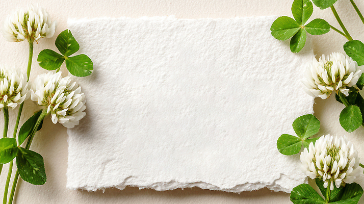 JPG 식물 편집이미지 잎 프레임 사람없음 메모지 행운 토끼풀 토끼풀꽃 카피스페이스 편집실사 AI포토 AI콘텐츠 꽃 컨셉 사무용품 공백 CG 파일형식