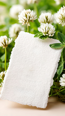 JPG 식물 편집이미지 잎 프레임 사람없음 메모지 행운 토끼풀 토끼풀꽃 카피스페이스 편집실사 AI포토 AI콘텐츠 꽃 컨셉 사무용품 공백 CG 파일형식