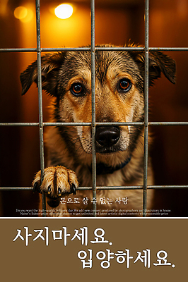 PSD 편집이미지 포스터 사람없음 슬픔 구출 강아지 지저분함 눈물 보케 좁은 유기견 입양 철창 힘듦 답답함 불쌍 이미지편집 감정 컨셉 반려동물 도움 감각 개 파일형식 유기동물