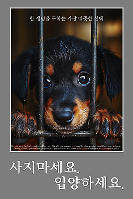 PSD 편집이미지 포스터 사람없음 회색 슬픔 구출 강아지 지저분함 닥스훈트 눈물 좁은 유기견 입양 철창 힘듦 답답함 불쌍 이미지편집 감정 컬러 컨셉 반려동물 도움 감각 개 파일형식 유기동물