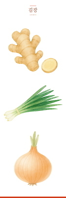 PSD 일러스트 양파 사람없음 세트 슬라이스 생강 대파 국내일러스트 채소 파 파일형식
