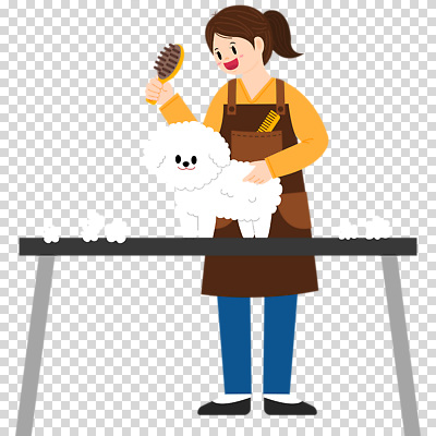 전신 편집이미지 여자 탁자 한명 들기 누끼 성인 강아지 PNG 빗금 애견미용 애견미용사 성인여자한명만 1 가구 모션 사람 반려동물 뷰티 개 미용사 대각선 여자한명만 성인여자만 파일형식