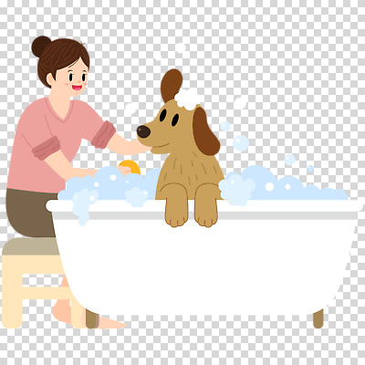 전신 편집이미지 여자 의자 욕조 한명 웃음 누끼 앉기 성인 목욕 강아지 비누거품 PNG 성인여자한명만 씻겨주기 1 가구 모션 표정 사람 반려동물 청결 거품 개 여자한명만 성인여자만 파일형식