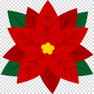 식물 꽃 컬러 파일형식 빨간색 잎 포인세티아 편집이미지 PNG 사람없음 누끼