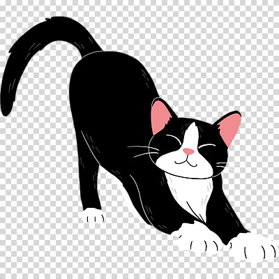 편집이미지 누끼 사람없음 귀여움 검은색 고양이 PNG 고양이자세 컬러 컨셉 포유류 반려동물 요가자세 파일형식