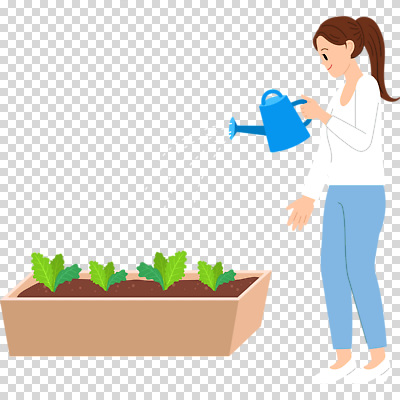 전신 편집이미지 여자 화분 채소 한명 미소 들기 누끼 성인 물뿌리개 물주기 원예 PNG 텃밭 성인여자한명만 1 밭 모션 표정 사람 취미 여자한명만 성인여자만 파일형식