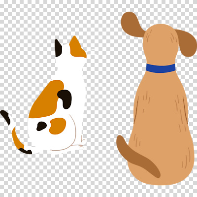 편집이미지 누끼 앉기 사람없음 뒷모습 고양이 강아지 개목걸이 PNG 뷰포인트 포유류 모션 반려동물 개 애견용품 파일형식