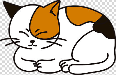 편집이미지 누끼 사람없음 고양이 잠 웅크림 PNG 삼색고양이 포유류 모션 반려동물 파일형식