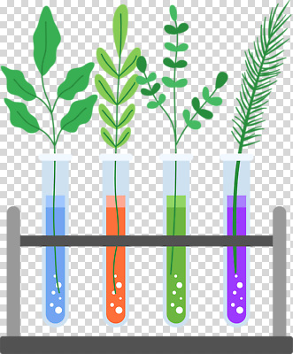 편집이미지 잎 실험 누끼 사람없음 거품 시험관 용액 PNG 식물 실험기구 파일형식