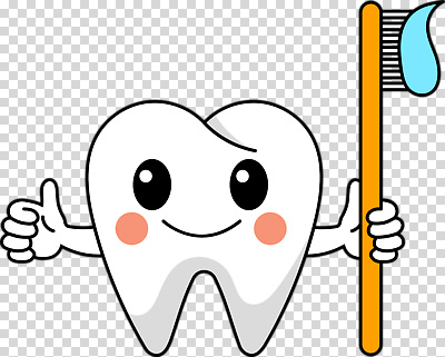 편집이미지 캐릭터 미소 들기 누끼 사람없음 양치 치아 칫솔 치약 따봉 PNG 모션 표정 위생용품 청결 최고 소화기관 파일형식