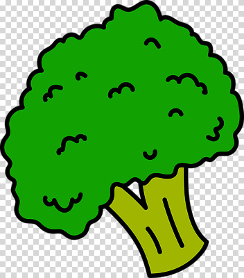 편집이미지 누끼 사람없음 초록색 브로콜리 PNG 컬러 채소 파일형식
