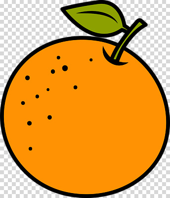 편집이미지 잎 오렌지 누끼 사람없음 주황색 PNG 식물 컬러 과일 파일형식