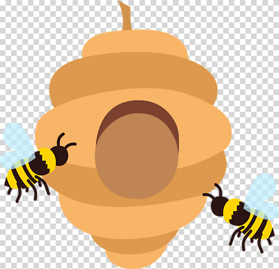 편집이미지 누끼 사람없음 벌 PNG 벌집 곤충 파일형식